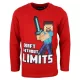 Minecraft Without Limits gyerek hosszú ujjú póló, felső 8 év / 128 cm