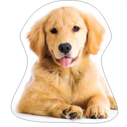 Kutyás Golden Retriver formapárna, díszpárna 35x35 cm