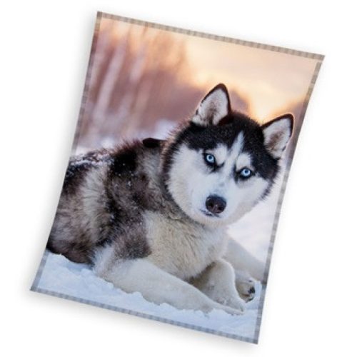 Kutyás Husky coral fleece polár takaró 150x200cm