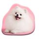 Kutyás Pomeranian formapárna, díszpárna 39x37 cm  Velúr