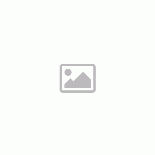 Katicabogár fólia lufi 45 cm