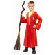 Harry Potter Gryffindor Quidd kviddics jelmez 8-10 év