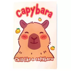 Kapibara Chill B/5 vonalas füzet 40 lapos