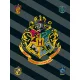 Harry Potter Crest  polár takaró 100x150cm