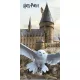 Harry Potter Hedwig Fly fürdőlepedő, strand törölköző 70x140cm