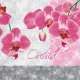 Orchidea Romantic szalvéta 20 db-os 33x33 cm