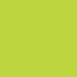 Kivi zöld Maki szalvéta 20 db-os 33x33 cm