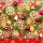 Karácsony Wooden Decorations szalvéta 20 db-os 33x33 cm