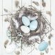 Húsvét Pastel Blue Natural Nest szalvéta 20 db-os 33x33 cm