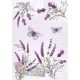 Levendula Butterfly A/4 gumis mappa