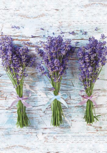 Levendula Bouquet A/4 gumis mappa