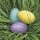 Húsvét Pastel Eggs in Grass szalvéta 20 db-os 33x33 cm