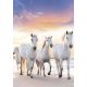 Lovas Gallop A/4 gumis mappa
