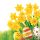 Húsvét Bunch of Daffodils szalvéta 20 db-os 25x25 cm
