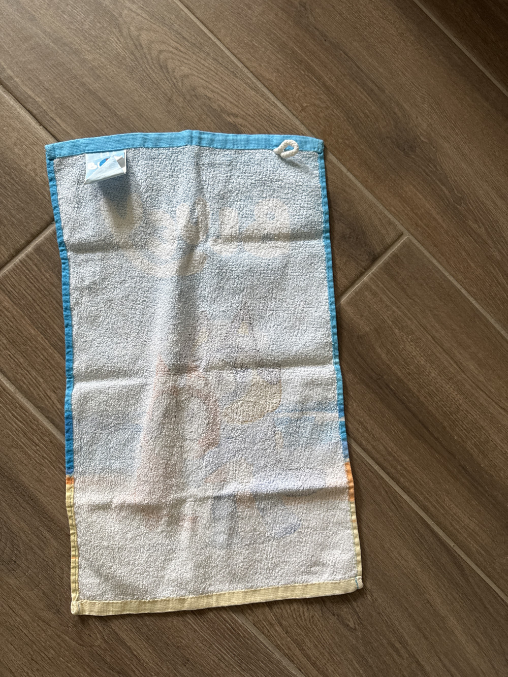 Bluey Cozy kéztörlő, arctörlő, törölköző 30x50cm
